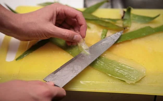 aloe vera suyu nasil yapilir resimli anlatim 3