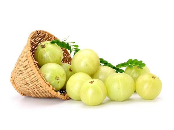 amla yaginin saca faydalari ve amla yagi saca nasil uygulanir 1