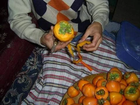 cennet elmasi kurusu nasil yapilir resimli anlatim 1