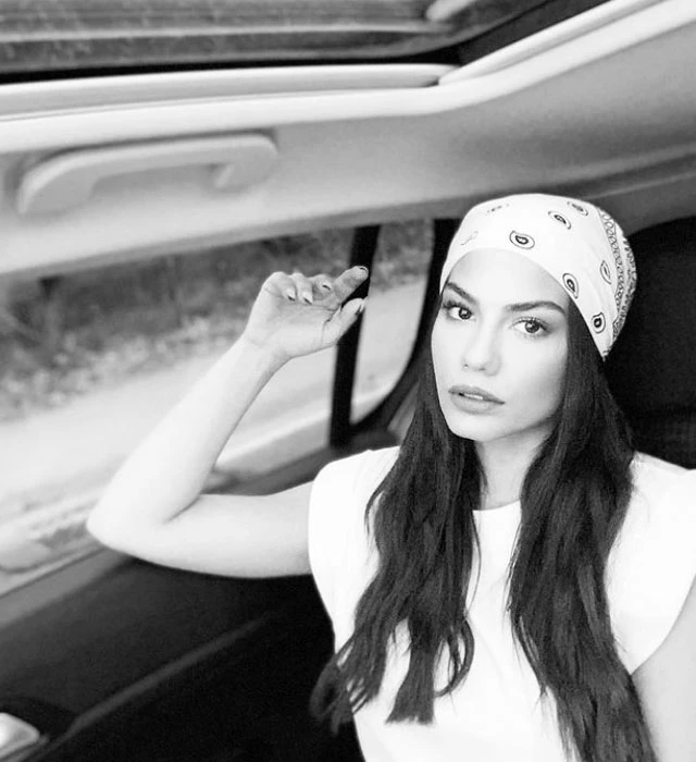demet(13)(1)