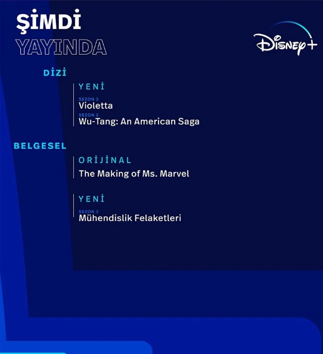 disneyplus(2)
