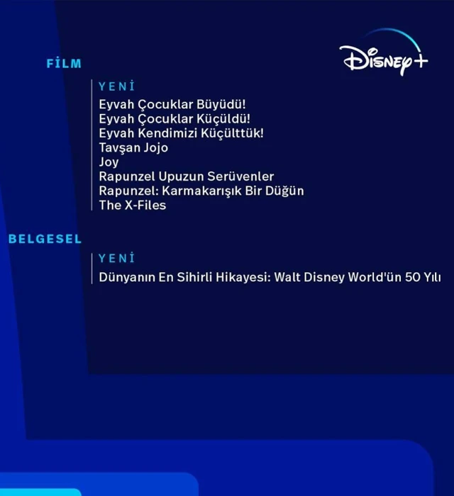 disneyplus(4)