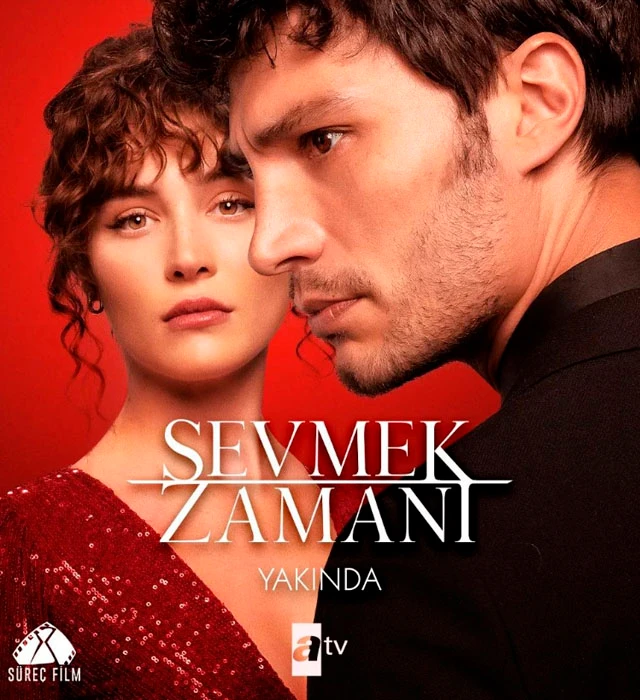 dizi(1)(1)