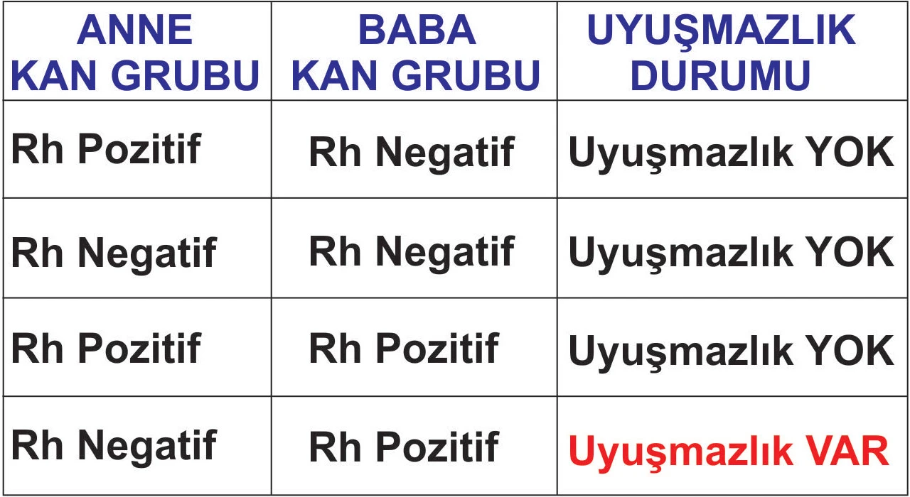 evlilikte kan uyusmazligi 1