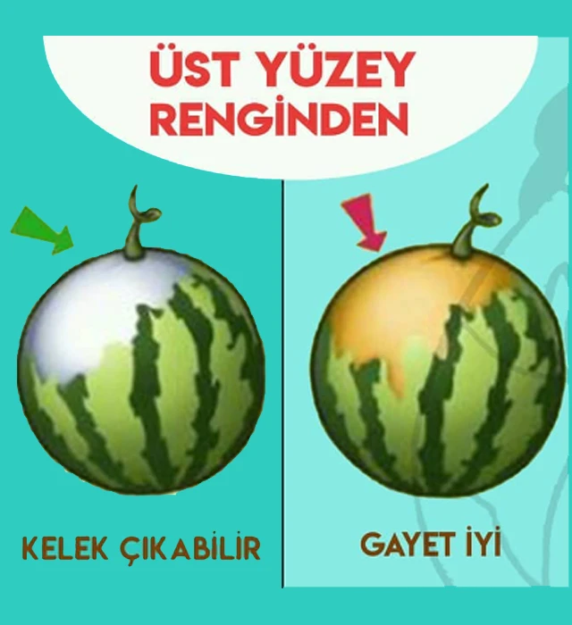 karpuz(4)