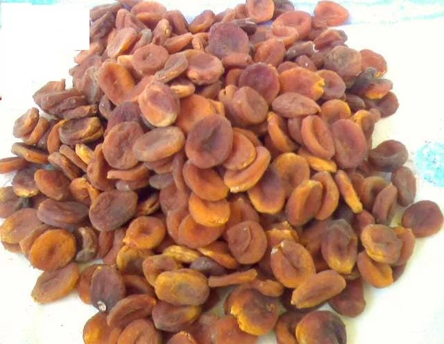 kayisi nasil kurutulur kuru kayisi nasil saklanir resimli anlatim 4