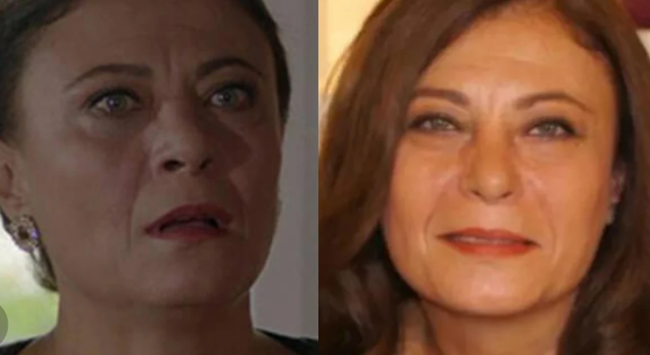 kuzeygüney(21)