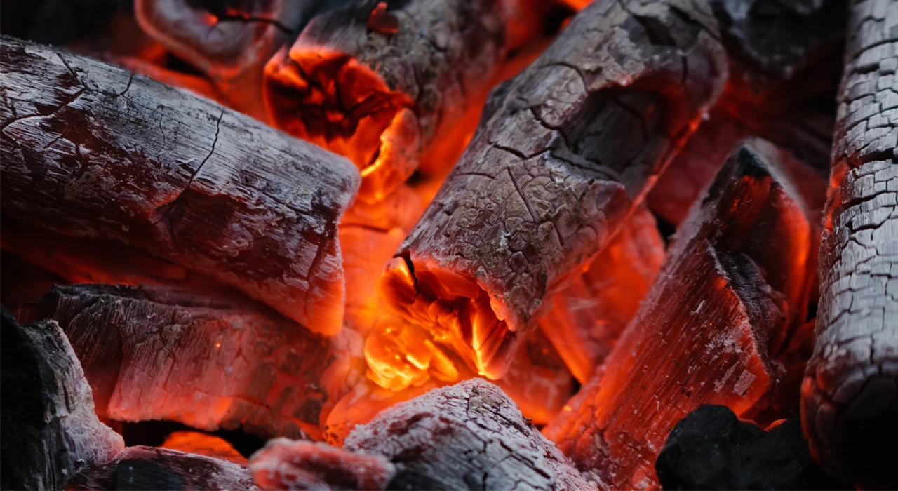 mangal(1)