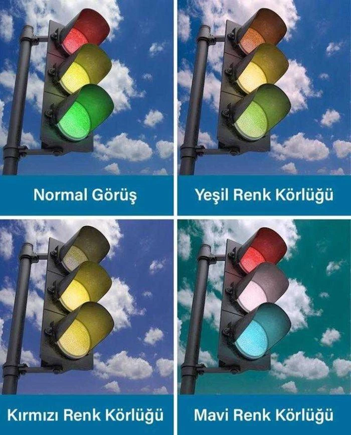 renk körü testi 1