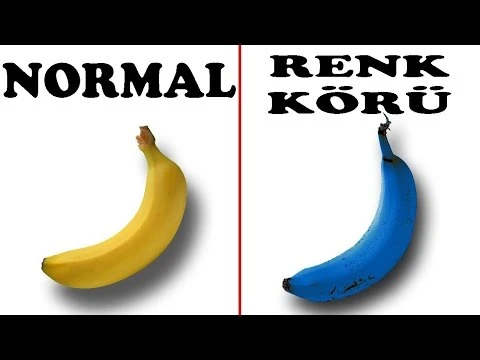renk körü testi 2