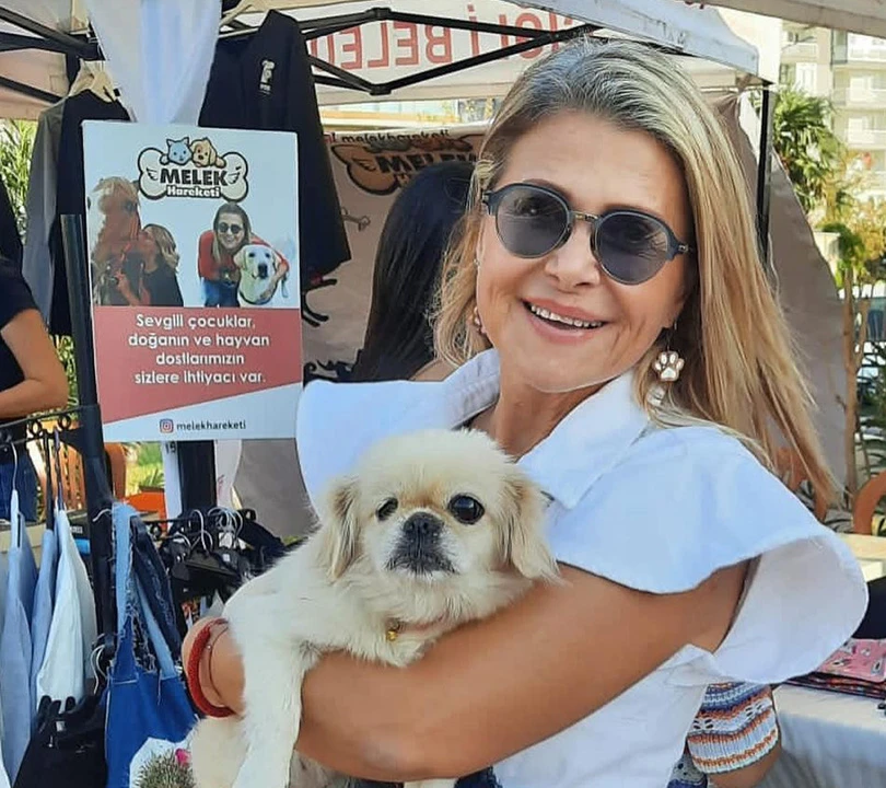 melek şahin