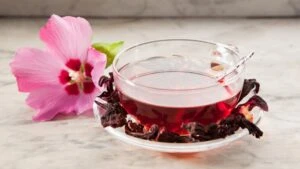 İbn-i Sina’dan kaşıntıya kesin çözüm! Hem suyu hem de kendisi oldukça faydalı 9 090010 hatmi