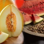 1200x627 hep cope gidiyordu karpuz ve kavunun cekirdegi meyvesinden daha yararliymis 1691070556217