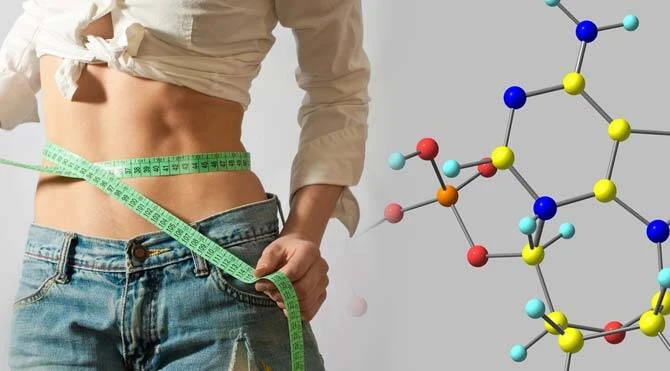 15912 leptin kapak