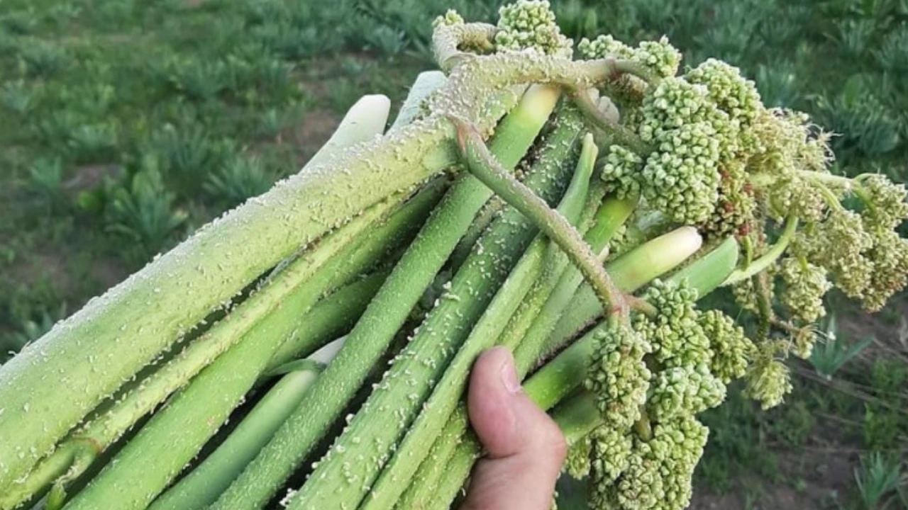 2 892
