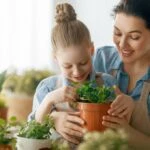 Kış aylarında evinizde bulunması gereken bitkiler 2026!