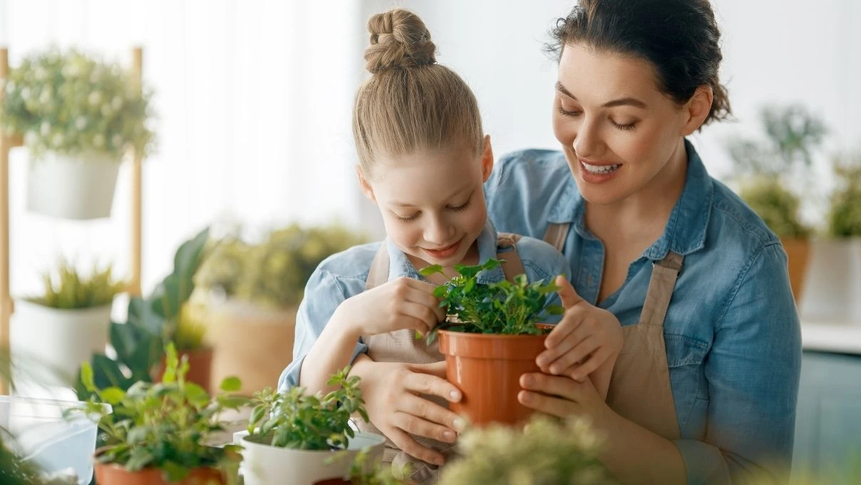 Kış aylarında evinizde bulunması gereken bitkiler 2026!