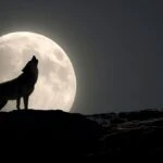 3 Ocak 2026 Yengeç burcu dolunayına dikkat! Yılın ilk çanları çalıyor