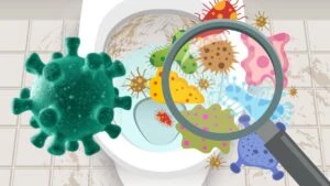 Klozet kapağında birikiyor! Uzmanlardan uyarı