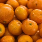 Asli 2025 12 26T112038.266