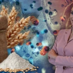 Asli 2025 12 26T123139.323