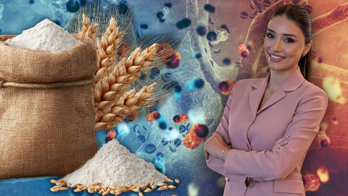 Asli 2025 12 26T123139.323