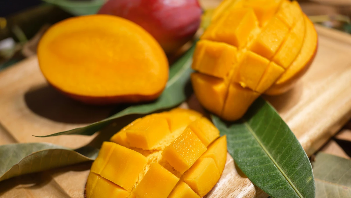 Asli 2025 12 29T151651.939