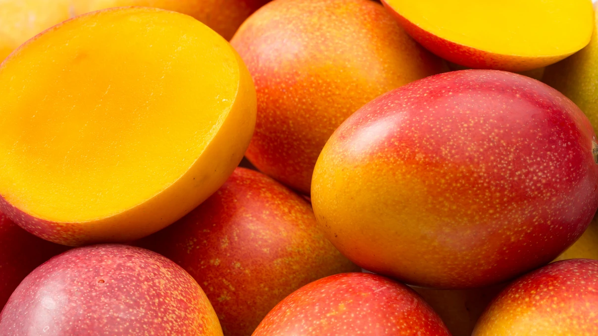 Asli 2025 12 29T151839.865