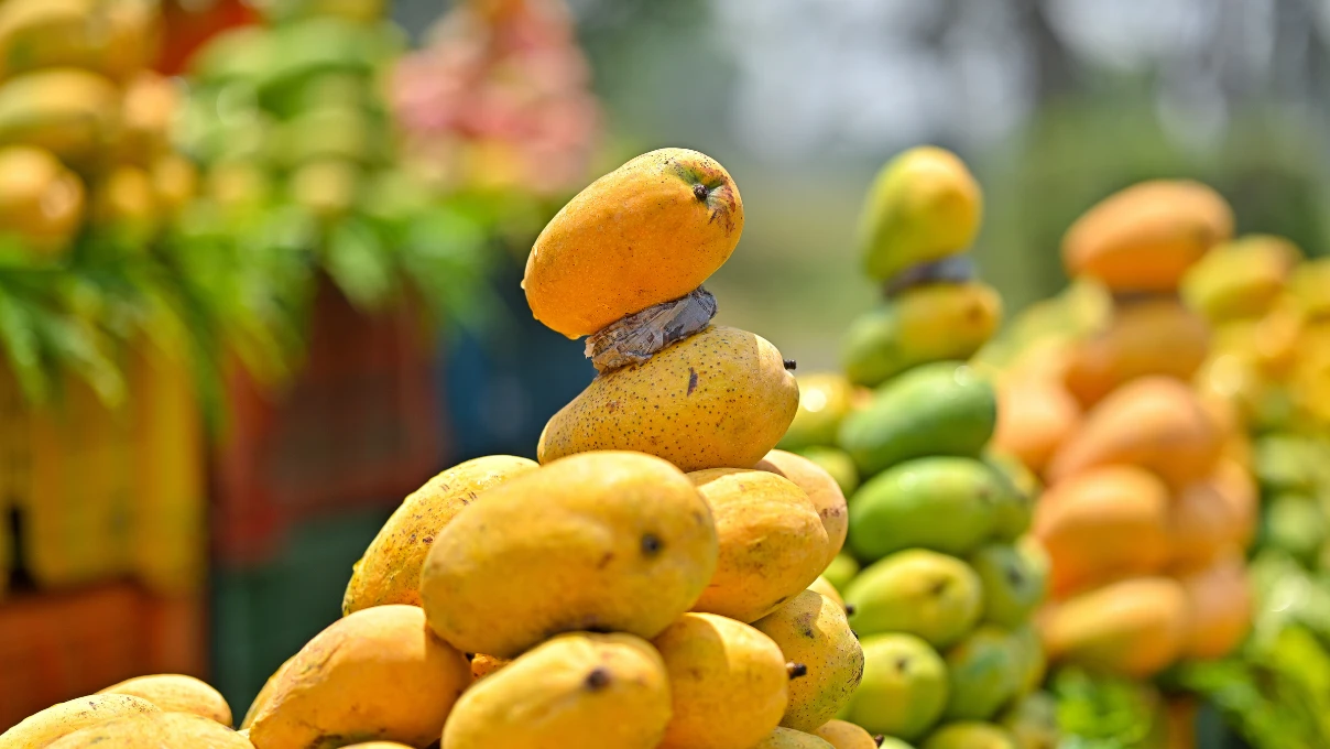 Asli 2025 12 29T151933.512