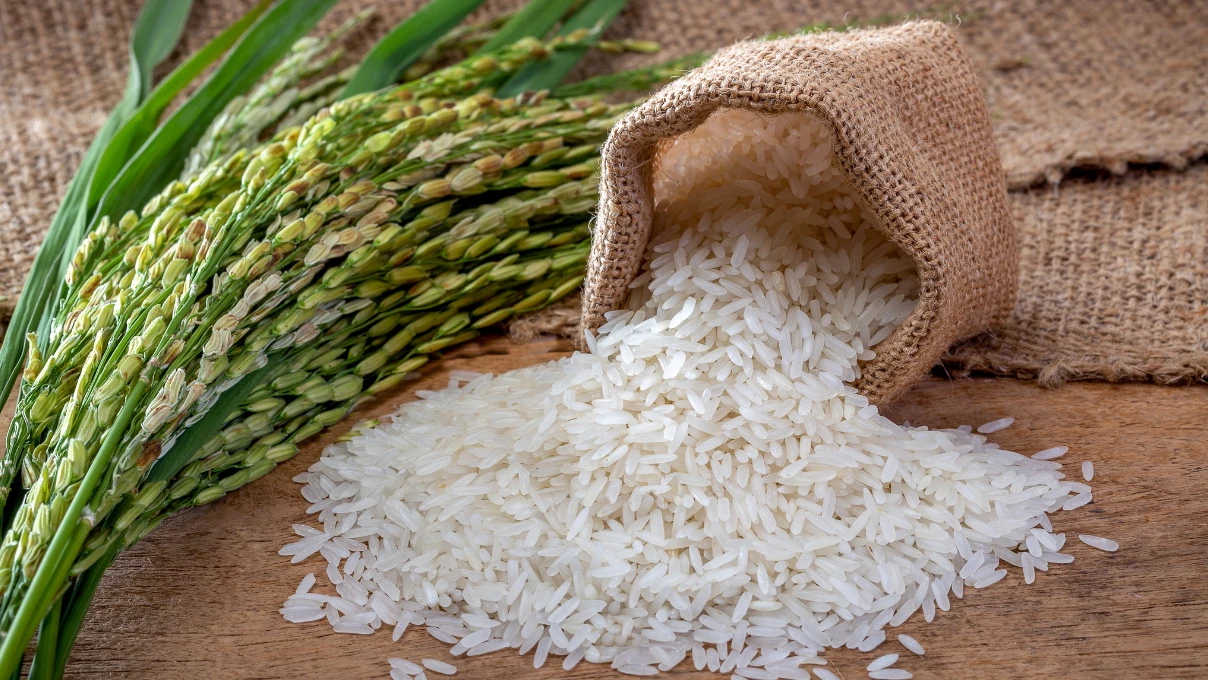 Asli 2025 12 30T100656.511