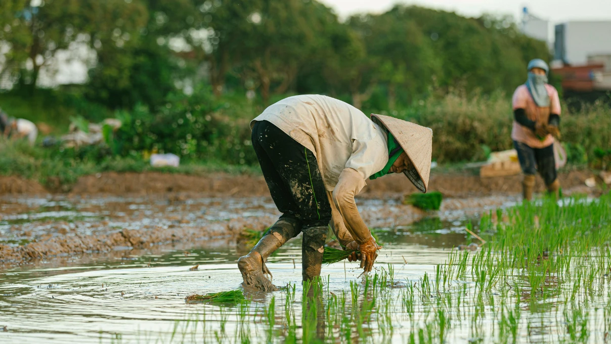 Asli 2025 12 30T100717.662