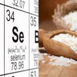 Asli 2025 12 30T100857.054