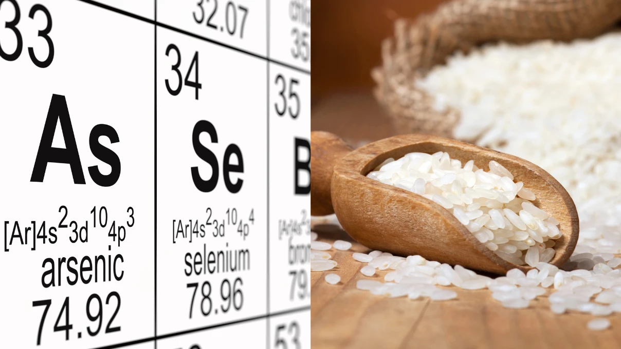 Asli 2025 12 30T100857.054