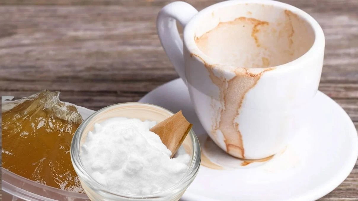 Kahve lekesi kalmış bardaklara son! Sakın çamaşır suyu kullanmayın