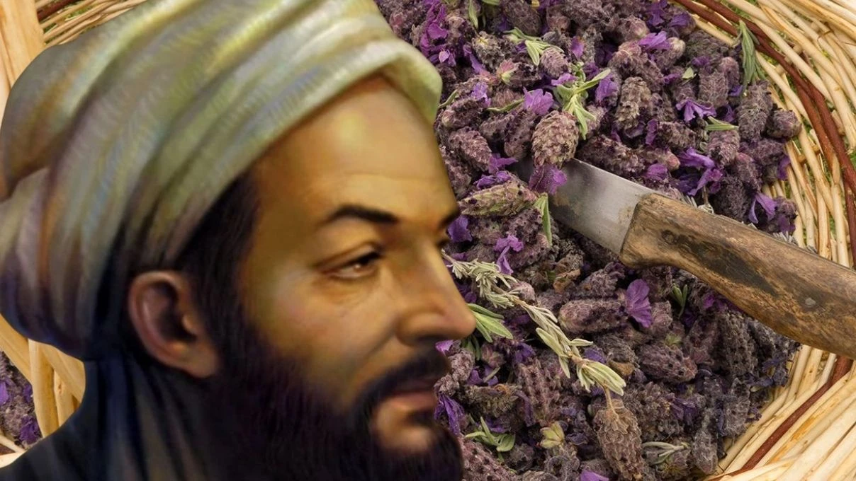 İbn-i Sina beynin süpürgesi dedi! Karabaş otu çayının faydaları