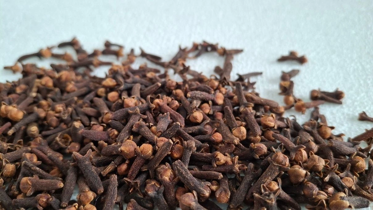 Ağzınızda 10 dakika karanfil bekletin! Bağırsaklardan ağız kokusuna kadar