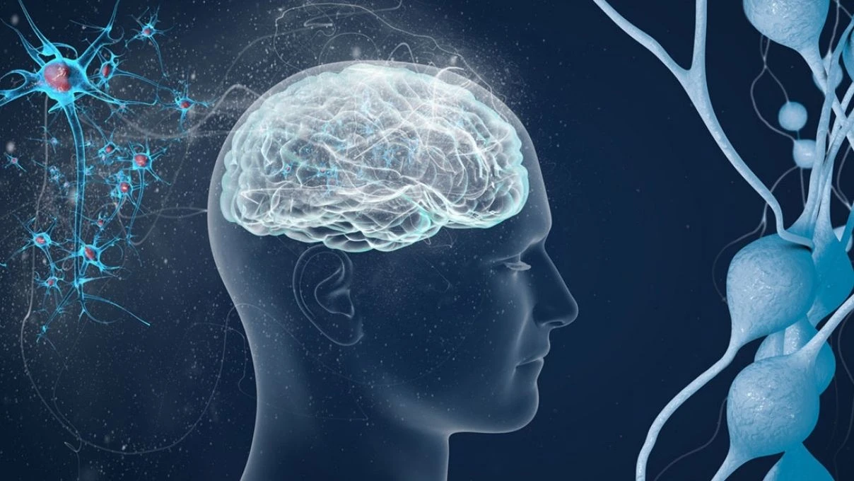 Serdar Ortaç ve daha binlerce kişinin muzdarip olduğu MS hastalığı! İngiltere’nin onay verdiği ilaç 5 Serdar Ortaç ve daha binlerce kişinin muzdarip olduğu MS hastalığı! İngiltere’nin onay verdiği ilaç