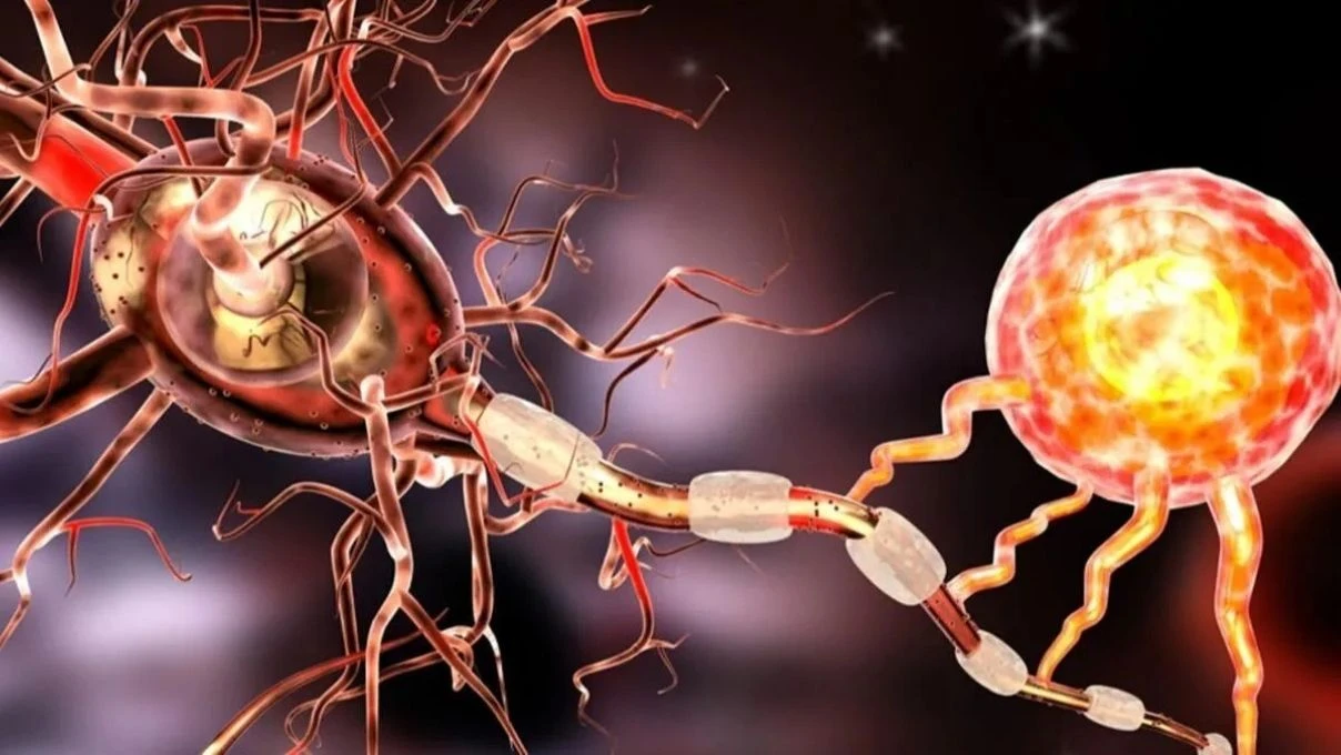 Serdar Ortaç ve daha binlerce kişinin muzdarip olduğu MS hastalığı! İngiltere’nin onay verdiği ilaç 6 Serdar Ortaç ve daha binlerce kişinin muzdarip olduğu MS hastalığı! İngiltere’nin onay verdiği ilaç