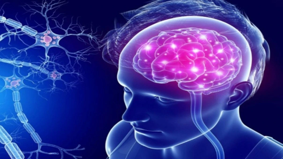 Serdar Ortaç ve daha binlerce kişinin muzdarip olduğu MS hastalığı! İngiltere’nin onay verdiği ilaç 9 Serdar Ortaç ve daha binlerce kişinin muzdarip olduğu MS hastalığı! İngiltere’nin onay verdiği ilaç