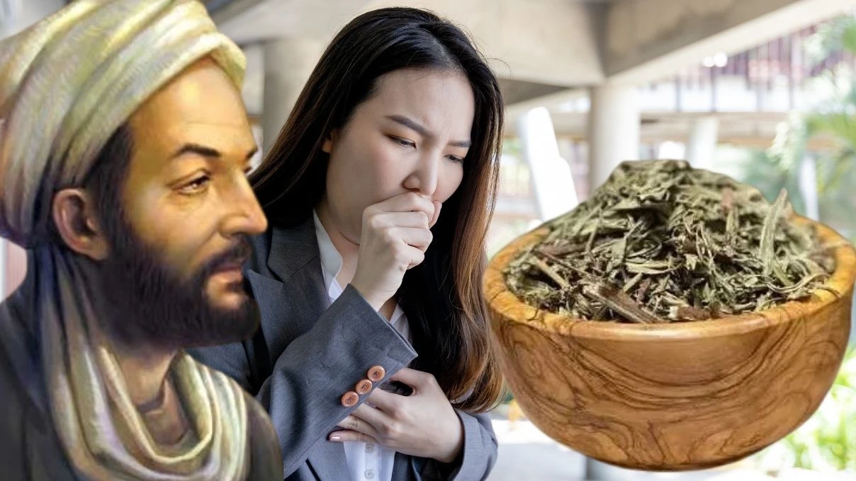 İbn-i Sina asırlar yıl önce temiz ciğerlerin sırrını vermiş! Mutfağa girmesi gereken ot