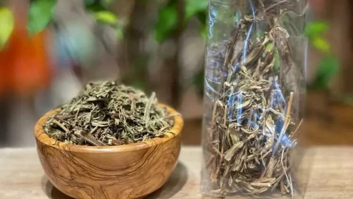 İbn-i Sina asırlar yıl önce temiz ciğerlerin sırrını vermiş! Mutfağa girmesi gereken ot 7 İbn-i Sina asırlar yıl önce temiz ciğerlerin sırrını vermiş! Mutfağa girmesi gereken ot