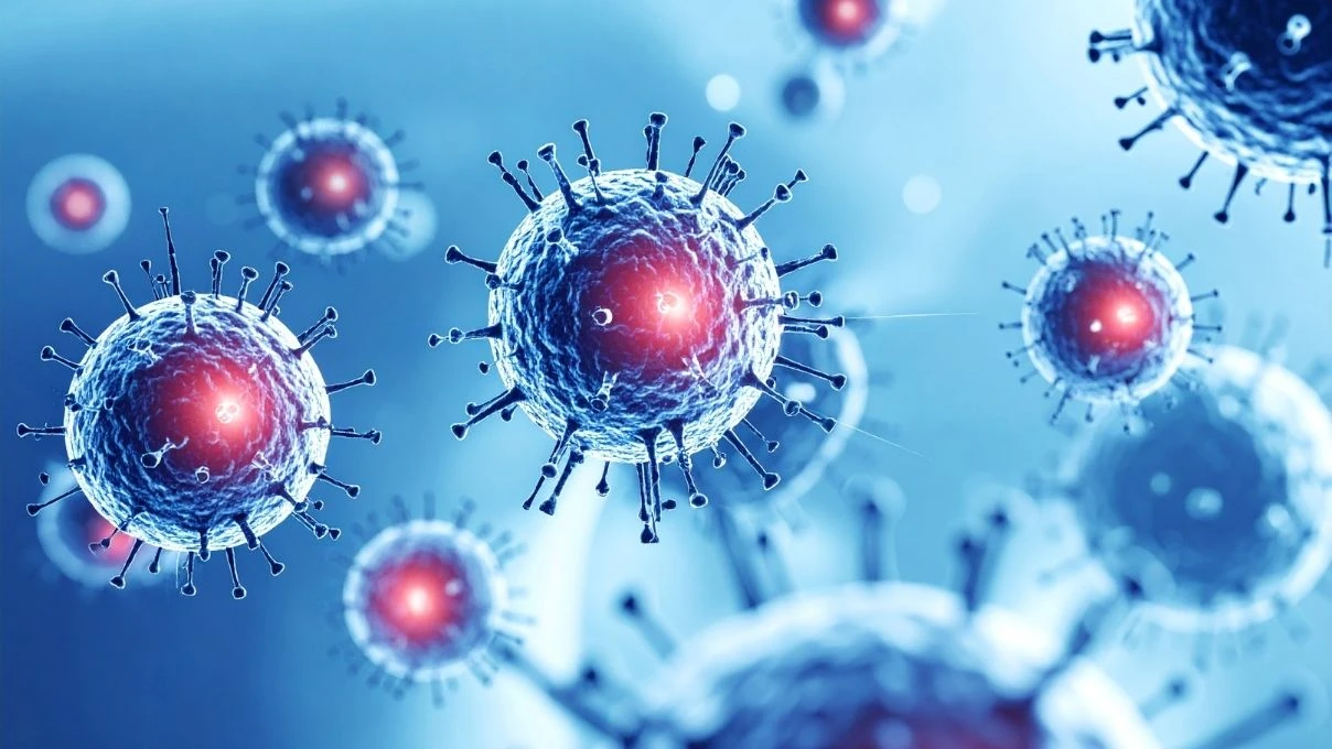 Nipah virüsü nasıl ortaya çıktı? Nipah virüsü kimlere bulaşıyor, ölümcül mü?