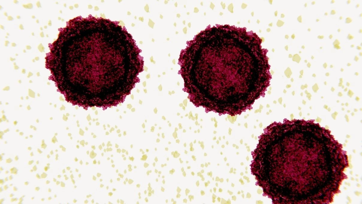 Bocavirüs çocuklarda hızla yayılıyor! Ölüm riski arttı