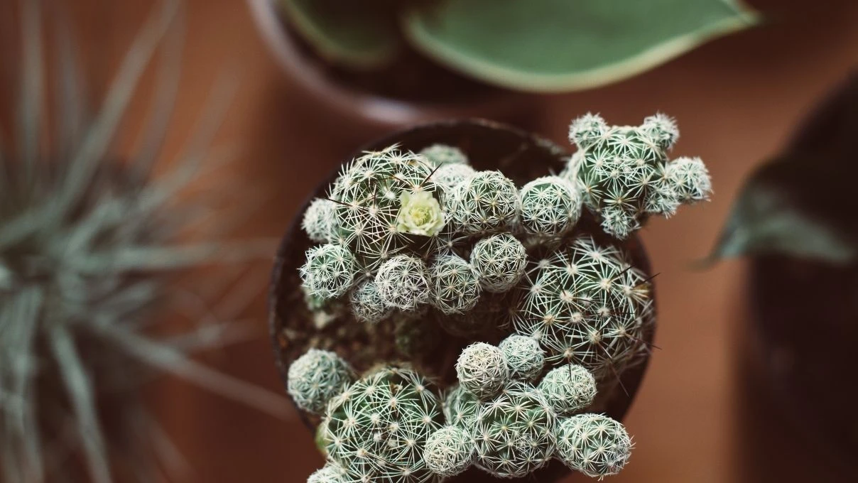 Bocavirüs çocuklarda hızla yayılıyor! Ölüm riski arttı