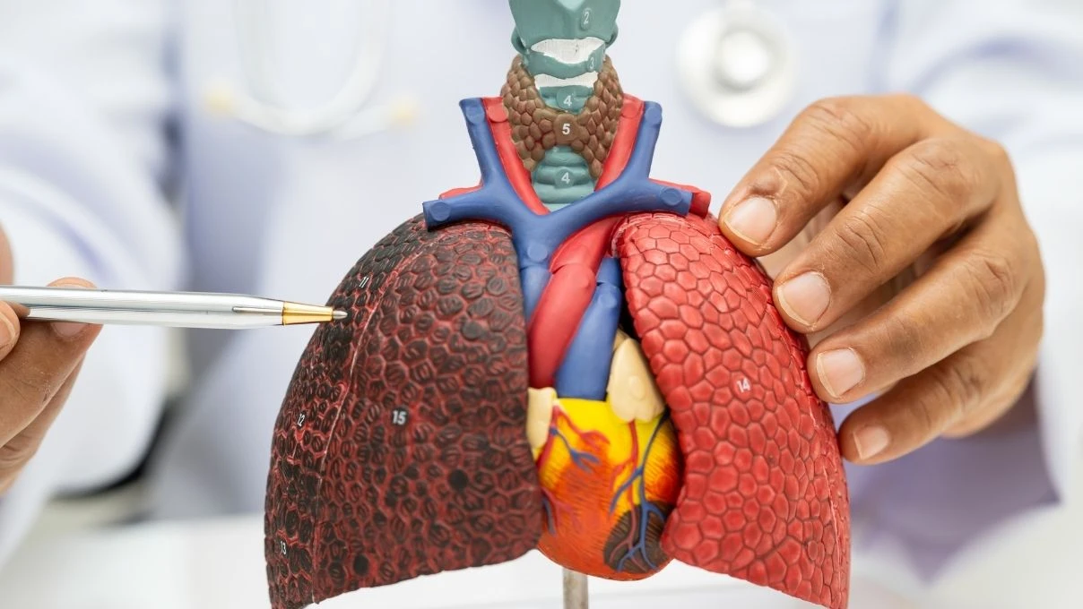 Organ nakli ihtiyacı her geçen gün artıyor! Metabolik hastalıklar organların kaybolmasına neden oluyor