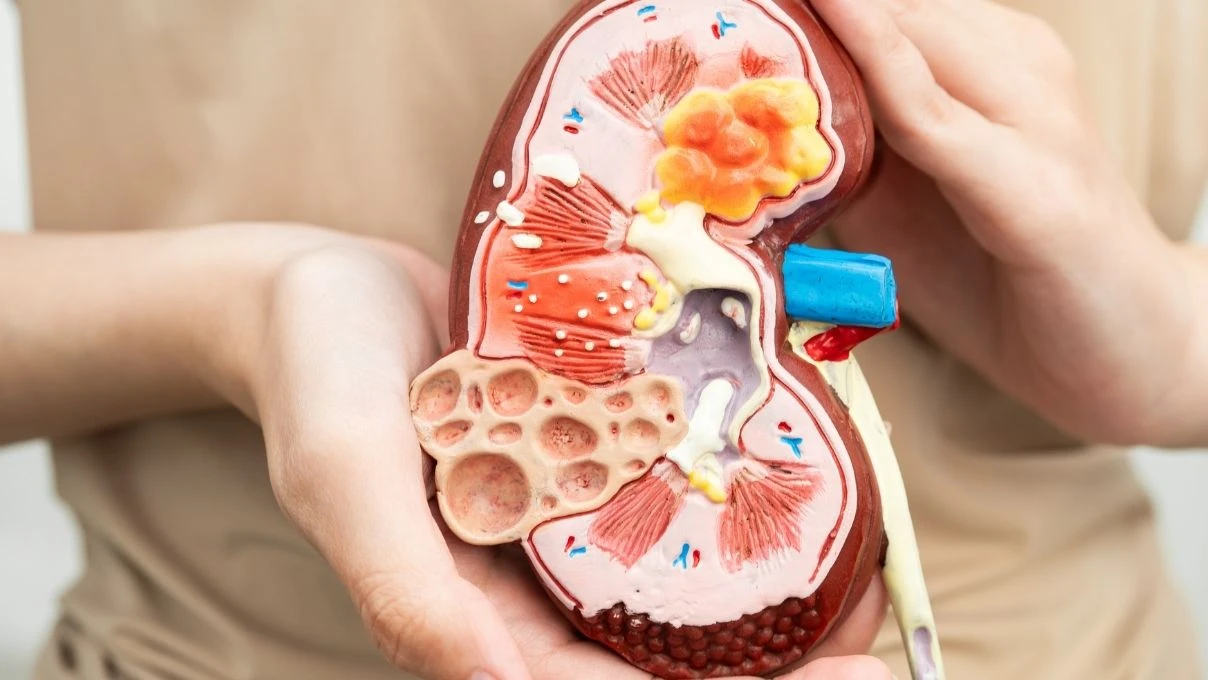 Organ nakli ihtiyacı her geçen gün artıyor! Metabolik hastalıklar organların kaybolmasına neden oluyor