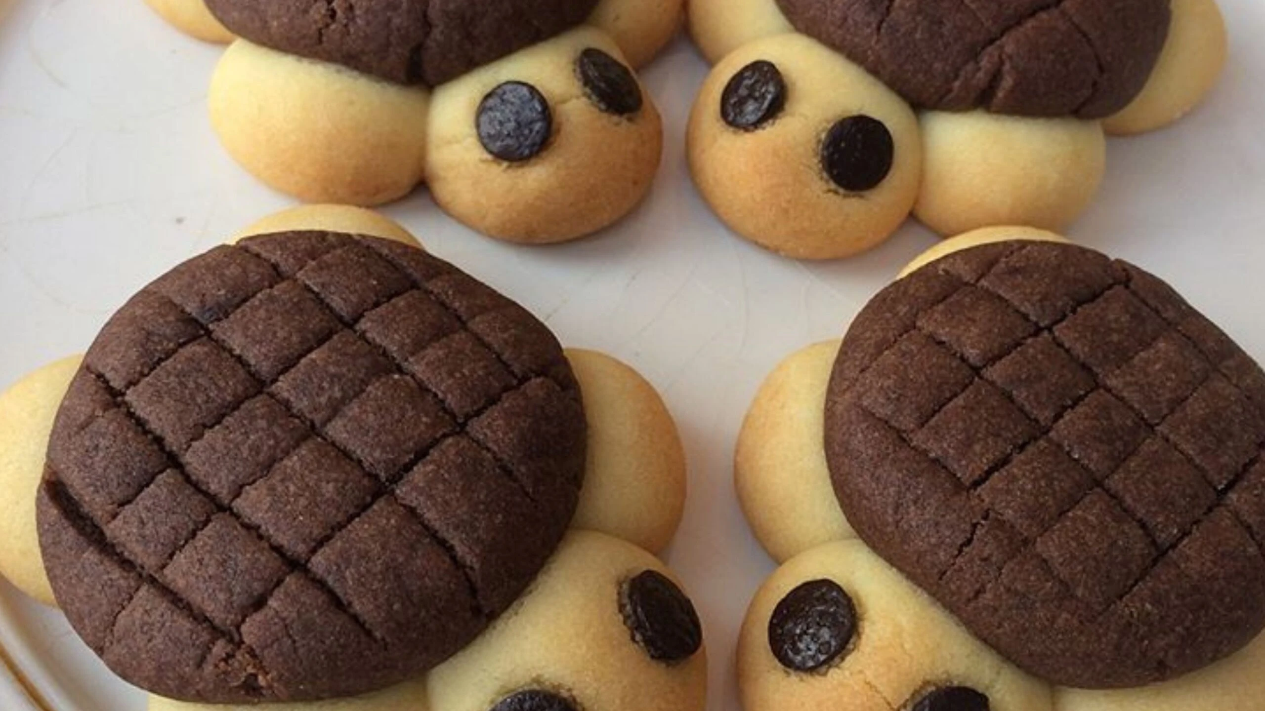 Adsiz tasarim 15 8 scaled