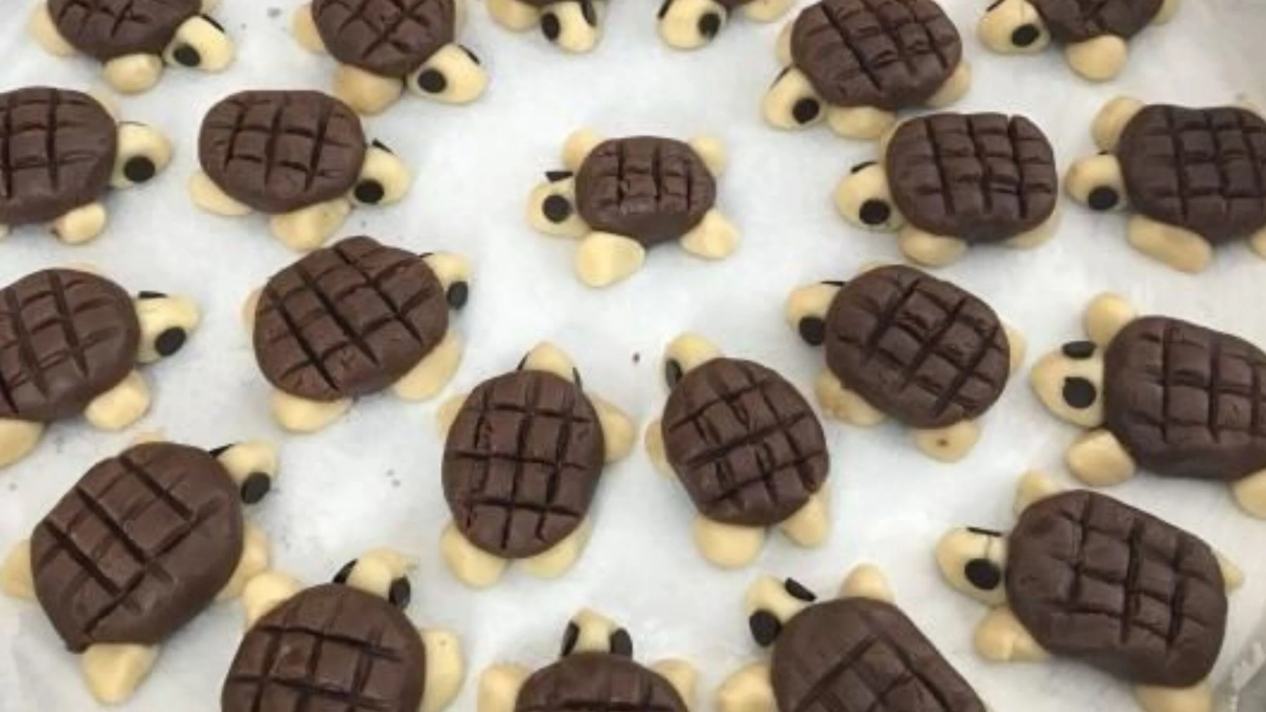 Adsiz tasarim 17 9 scaled