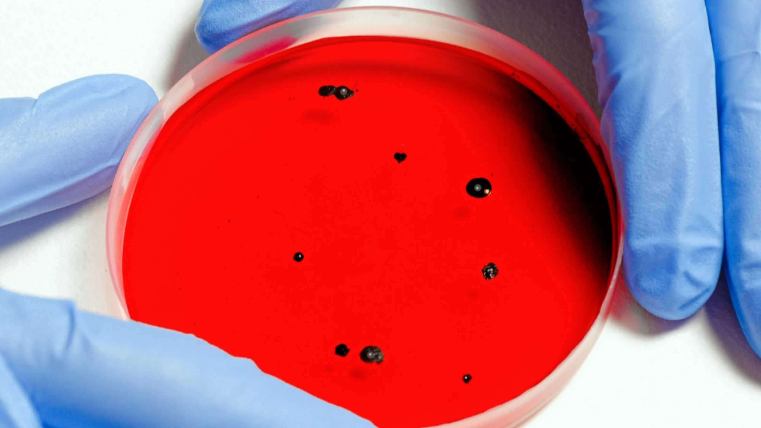 Adsiz tasarim 80 1 scaled