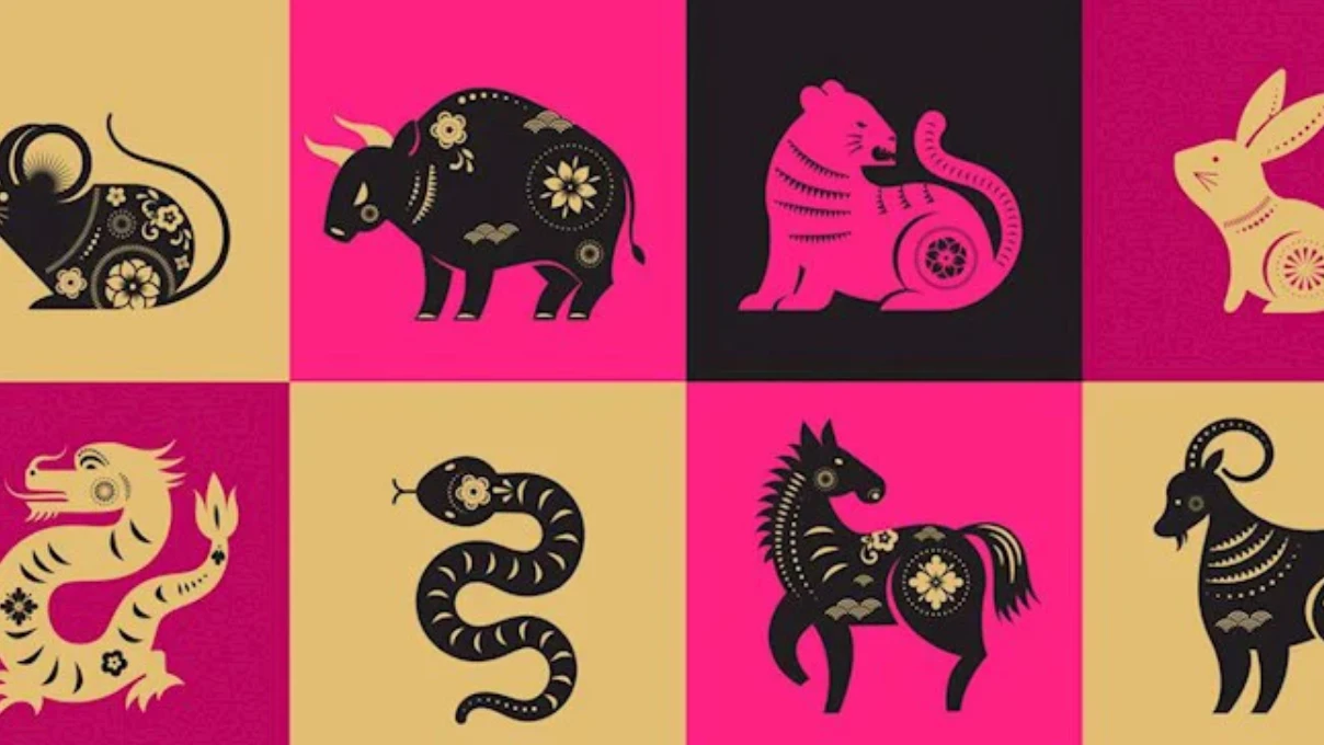 Asli 2026 01 04T114647.268